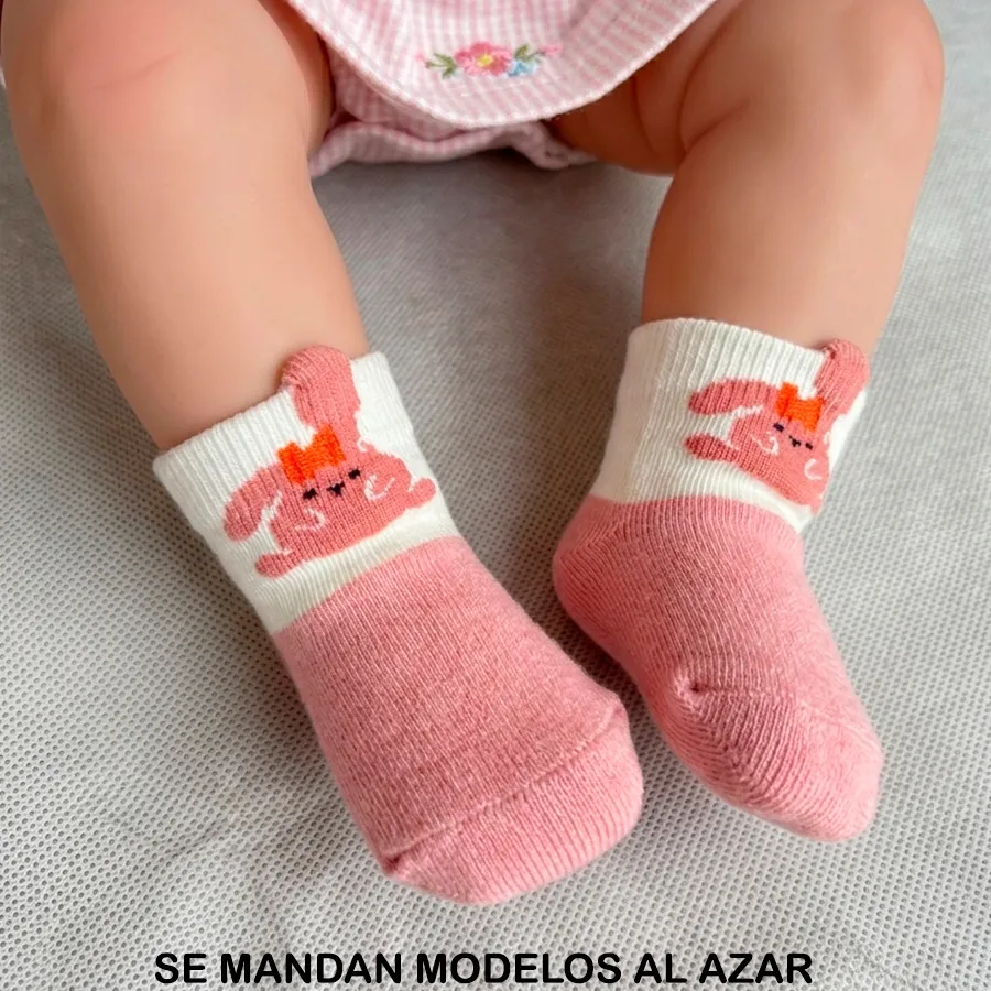 CD1003 EDICION 11910